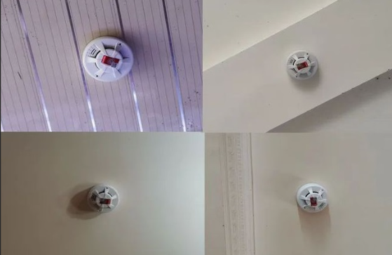 1736134635118355.png image.png